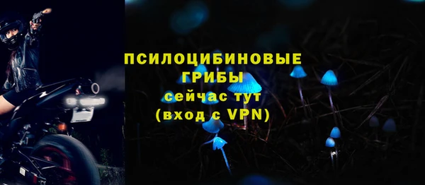 сатива Алзамай