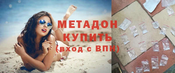 сатива Алзамай