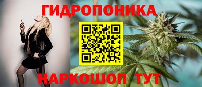 дурь Тара