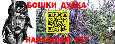 альфа пвп Новокубанск