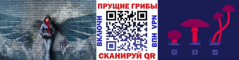 ОМГ ОМГ маркетплейс  Новоуральск  Псилоцибиновые грибы прущие грибы 